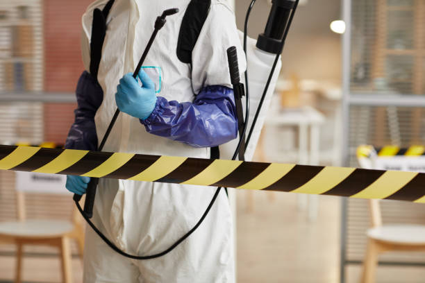 Professional Hoarding Cleanup technician working in East Marion, NY